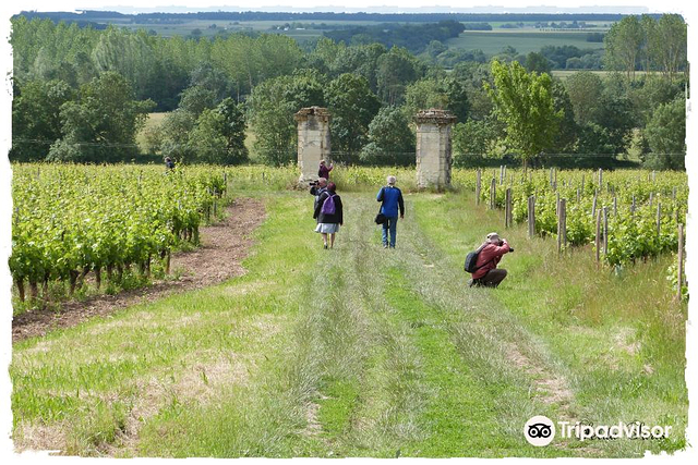Domaine Charles Pain