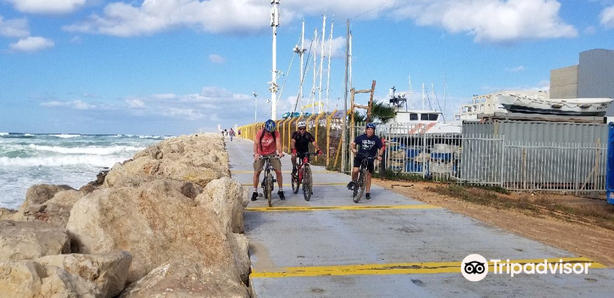 Bike Israel旅游景点图片