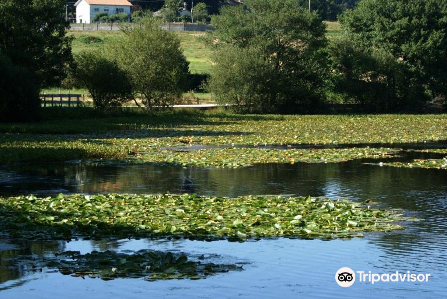 Lagoa de Sobrado旅游景点图片