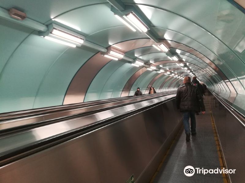 Metro Station Sportivnaya旅游景点图片