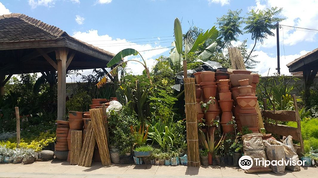 Antananarivo Flower Market