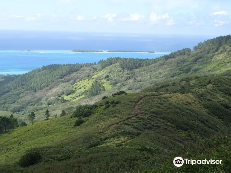 土布艾群岛景点