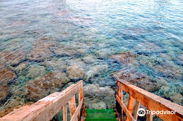 Area Marina Protetta Isole Ciclopi