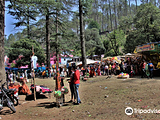 Binsar Mahadev Temple