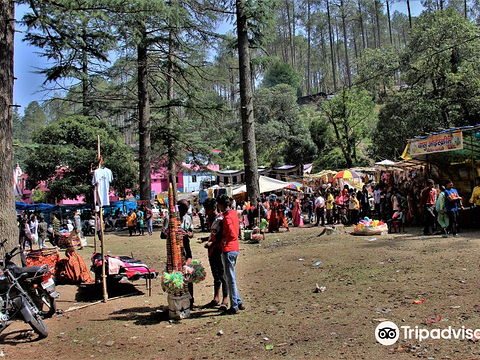 Binsar Mahadev Temple的图片