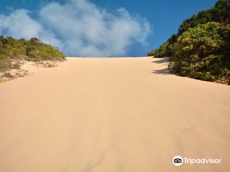 Morro do Careca beach旅游景点图片