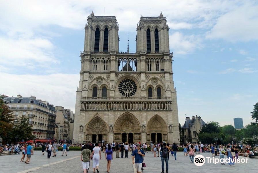 巴黎圣母院大教堂的塔楼旅游景点图片