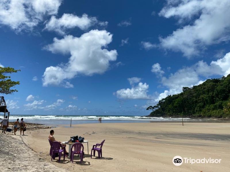 Jeribucacu Beach旅游景点图片