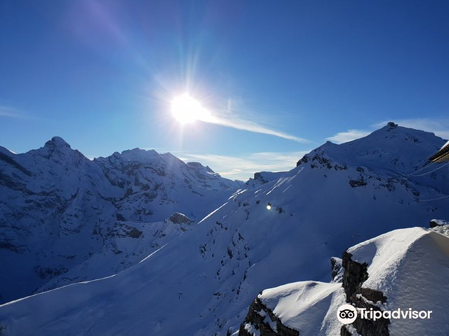 007 Walk of Fame - Schilthorn