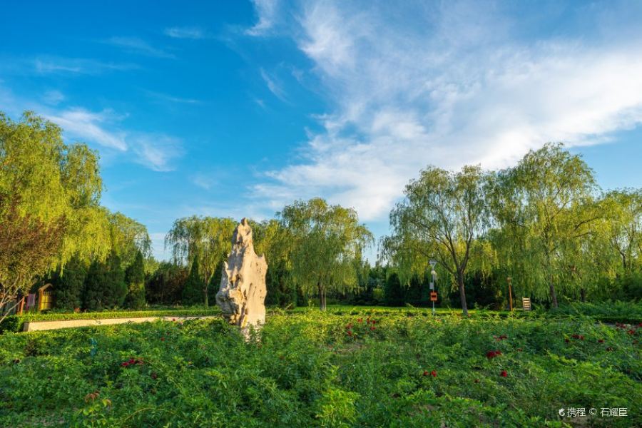 2023金田公园-旅游攻略-门票-地址-问答-游记点评,北京旅游旅游景点