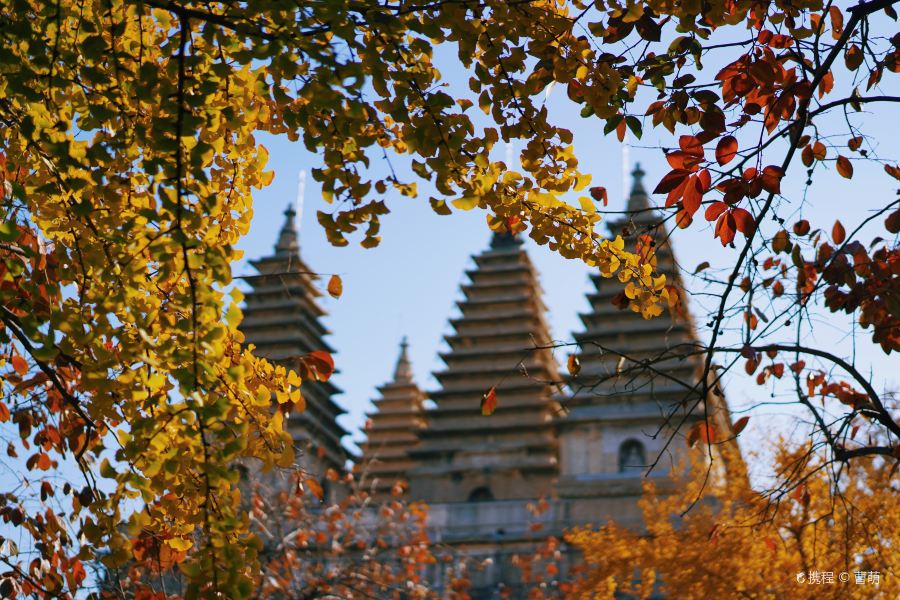 石刻艺术博物馆旅游景点图片