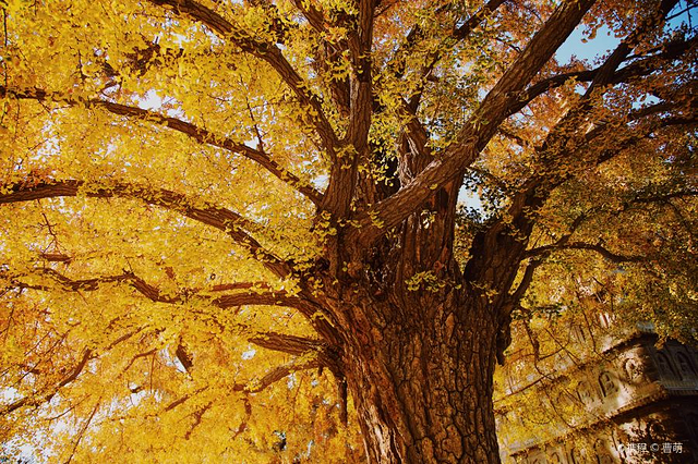 石刻艺术博物馆