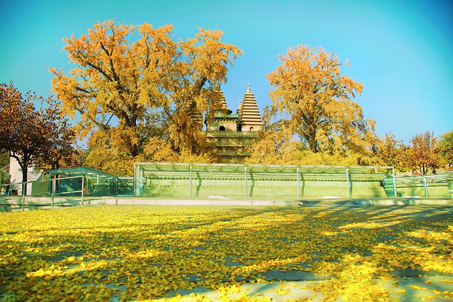 石刻艺术博物馆