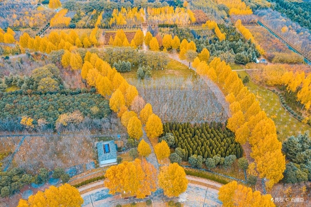 荥阳京襄城遗址生态园