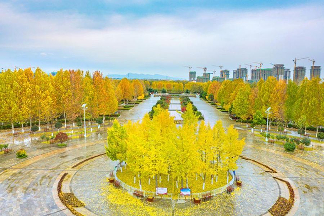 荥阳京襄城遗址生态园