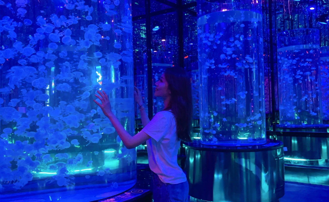 济南融创海世界