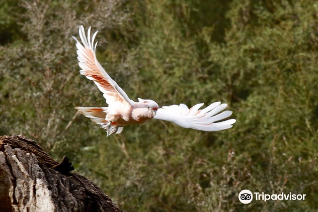 希尔斯维尔野生动物保护区