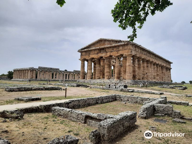 Amphitheatre of Paestum