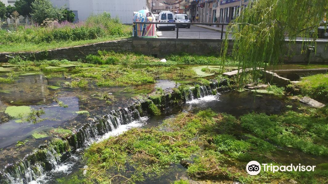 Carballeira de Caldas de Reis旅游景点图片