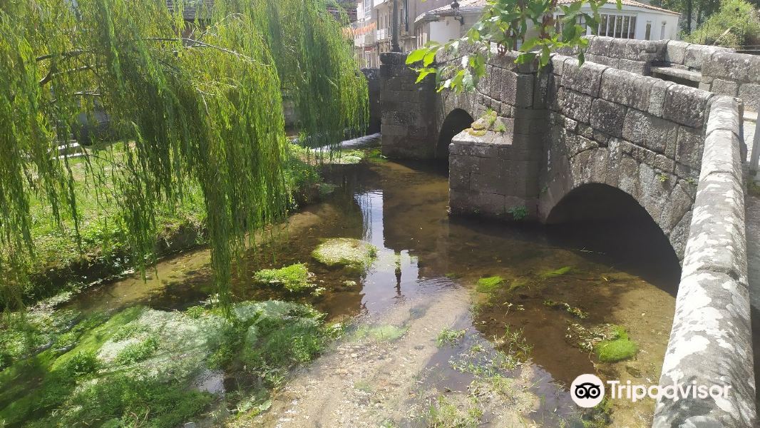 Carballeira de Caldas de Reis旅游景点图片