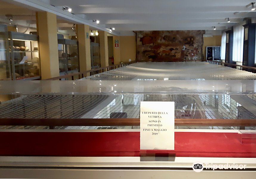 Museo di Antropologia旅游景点图片