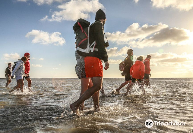 Chemins de la Baie du Mont Saint-Michel