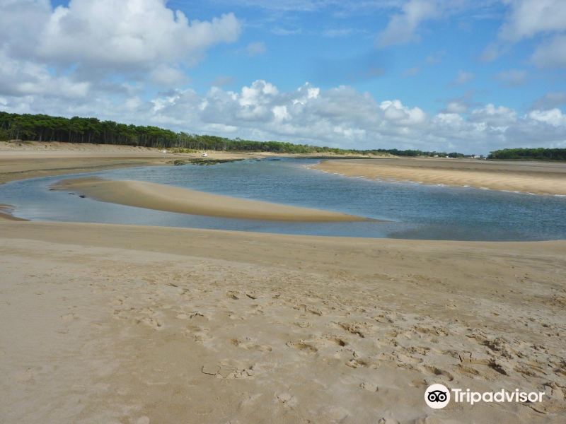 Plage du Veillon旅游景点图片