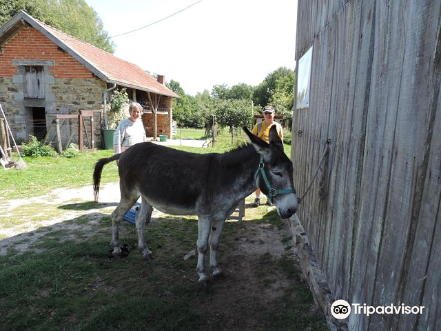 Ferme Chene de Greletti