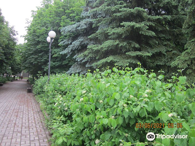 Central City Park Named After Vasiliy Dzharty