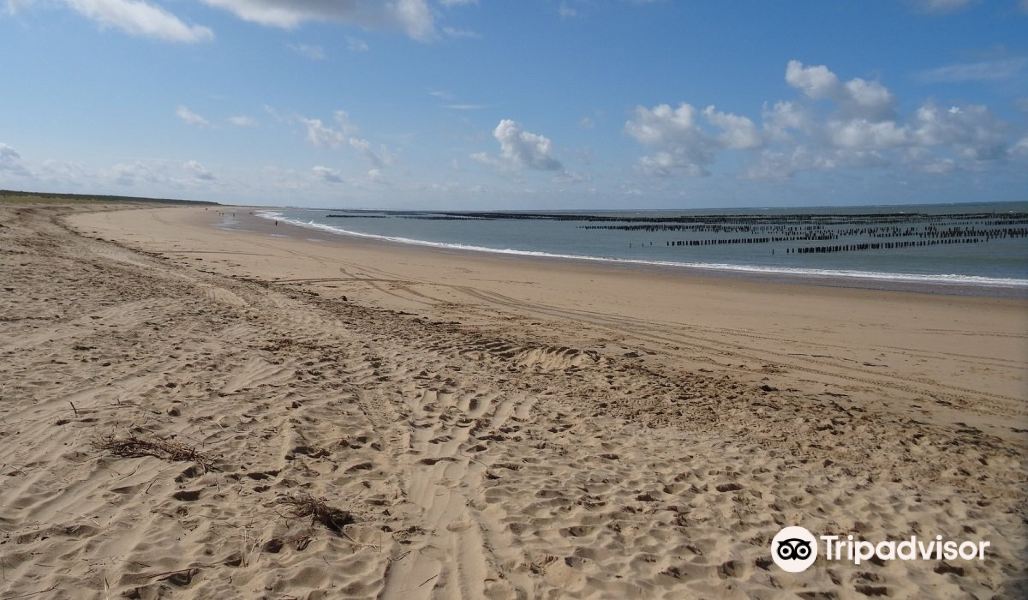 2023Plage Naturiste de la Pointe d'Arçay旅游攻略门票地址问答游记点评,滨海拉福特旅游旅游景点推荐去哪儿攻略 2023Plage Naturiste de la Pointe d'Arçay旅游攻略门票地址问答游记点评,滨海拉福特旅游旅游景点推荐去哪儿攻略