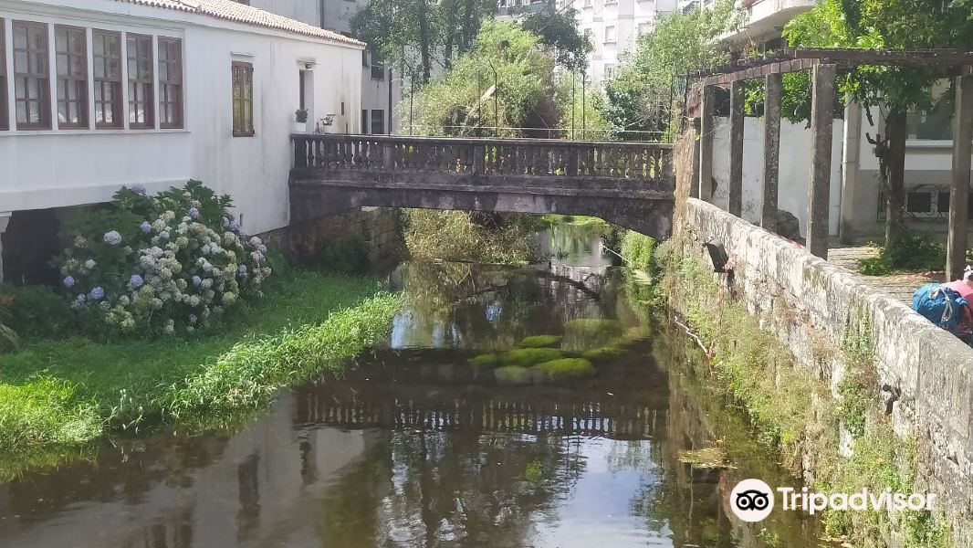 Carballeira de Caldas de Reis旅游景点图片