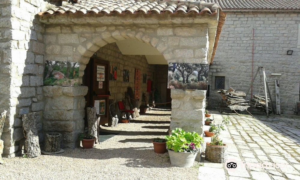 Museo del Sughero旅游景点图片