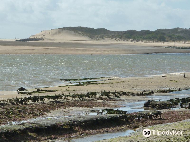 Plage du Veillon旅游景点图片