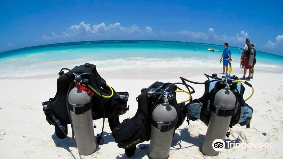 Bahia Divers旅游景点图片