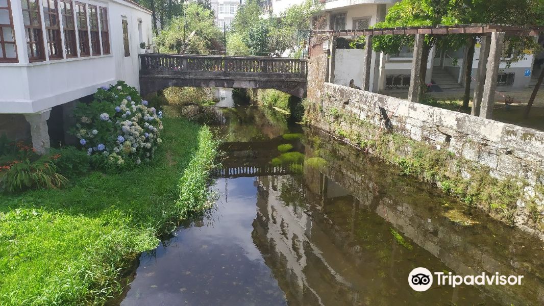 Carballeira de Caldas de Reis旅游景点图片