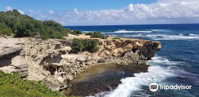 Makawehi Lithified Cliffs