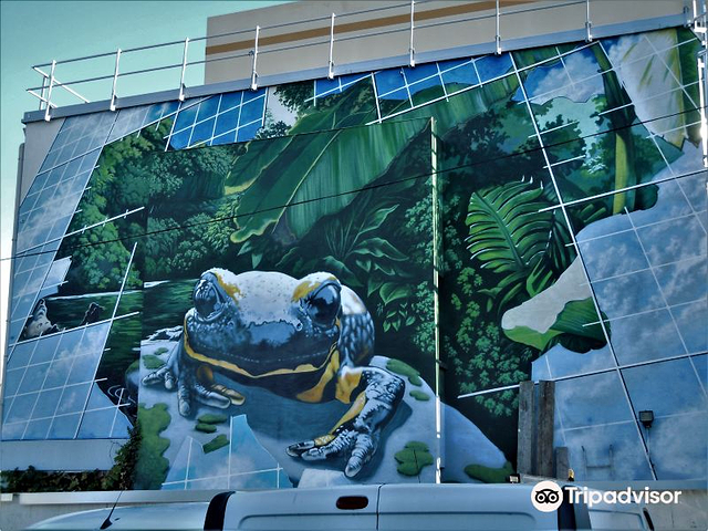Fresque "Le crapaud"