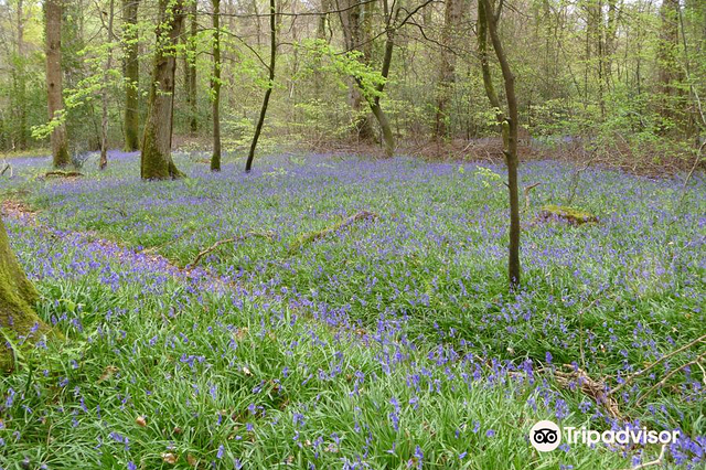 Pondhead Conservation Trust