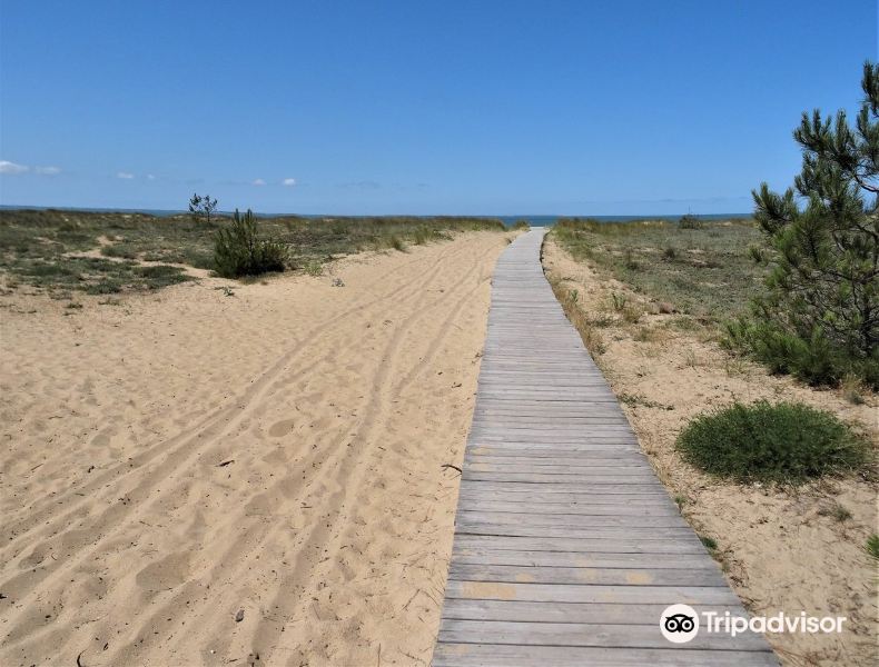 2023Plage Naturiste de la Pointe d'Arçay旅游攻略门票地址问答游记点评,滨海拉福特旅游旅游景点推荐去哪儿攻略 2023Plage Naturiste de la Pointe d'Arçay旅游攻略门票地址问答游记点评,滨海拉福特旅游旅游景点推荐去哪儿攻略