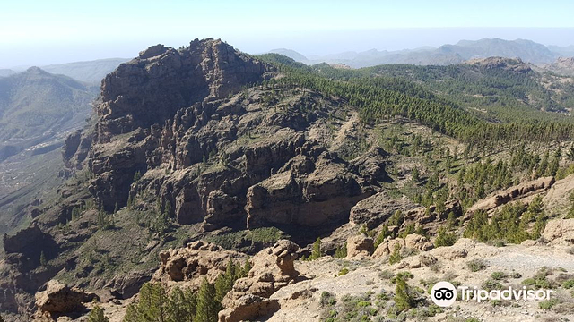 Mirador del Pico de los Pozos de la Nieve