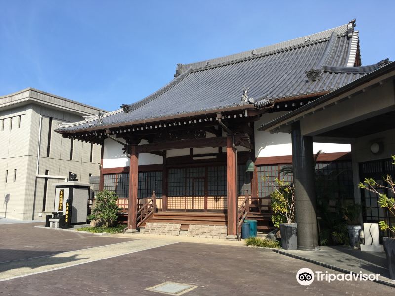 大光寺（浄土真宗）旅游景点图片