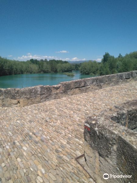 Puente de Abajo旅游景点图片