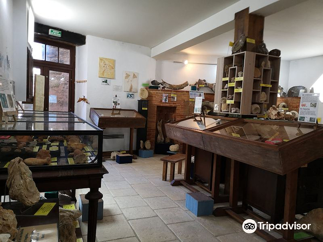 Musee de mineralogie et Paleontologie