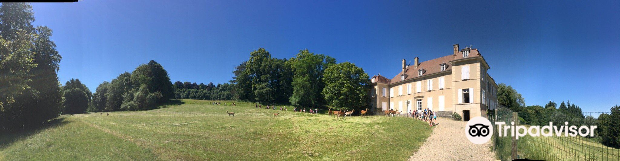 Château de Moidiere旅游景点图片