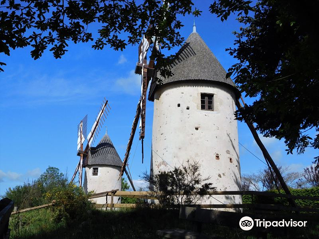 Les moulins du Terrier Marteau