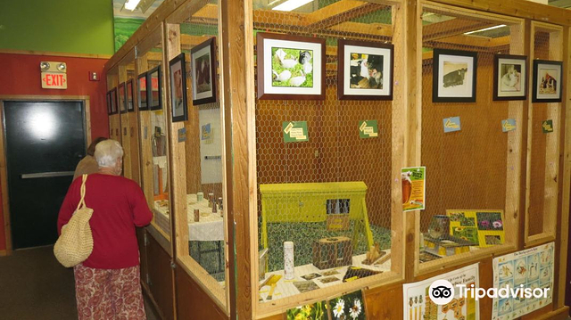 Northwoods Children's Museum