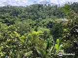 Agro Santi Coffee Plantation