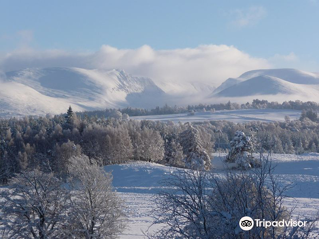 凯恩戈姆国家公园