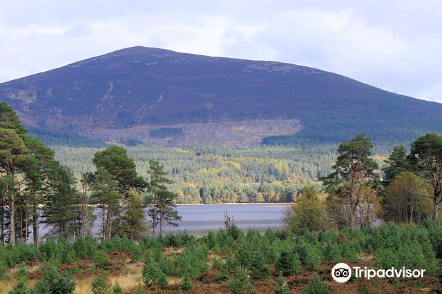 凯恩戈姆国家公园