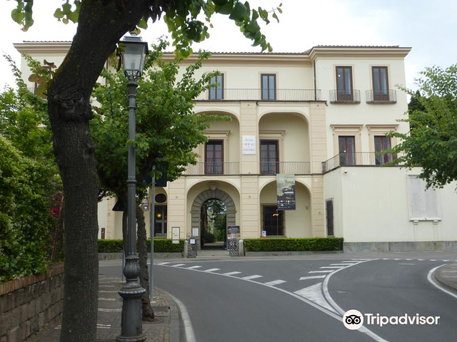 科雷亚莱博物馆